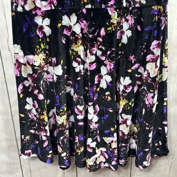 Hot Topic Black Floral Velvet Peter Pan Collar Whimsigoth Witchy Skater Dress - Picture 8 of 16